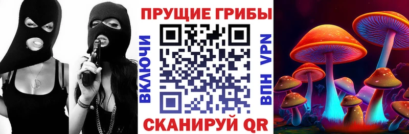 Псилоцибиновые грибы прущие грибы  сколько стоит  Алупка 